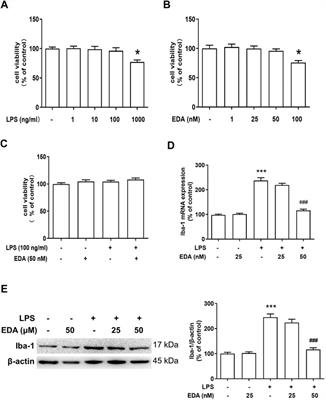 Edaravone Plays Protective Effects on LPS-Induced Microglia by Switching M1/M2 Phenotypes and Regulating NLRP3 Inflammasome Activation